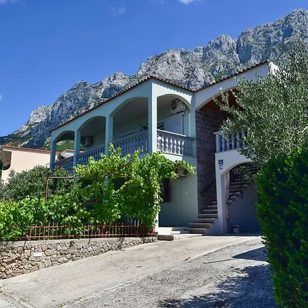 Maslina * Makarska