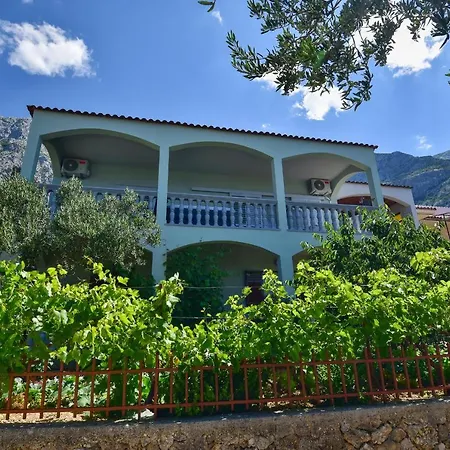 Maslina Makarska
